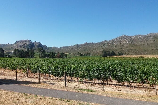 Private Tour To Stellenbosch Franschoek Wineries from Cape Town Price Per Group - Money, Wine Fees, and What You’ll Probably Spend