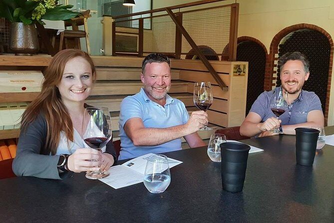 Private Tour with Wine Expert to Cape of Good Hope & Constantia Wine Region - Why This 8-Hour Private Day Packs Cape Town’s Best Together