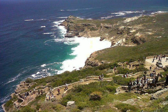 Private Tour with Wine Expert to Cape of Good Hope & Constantia Wine Region - Value Check: Is $224.81 Per Person a Smart Buy?