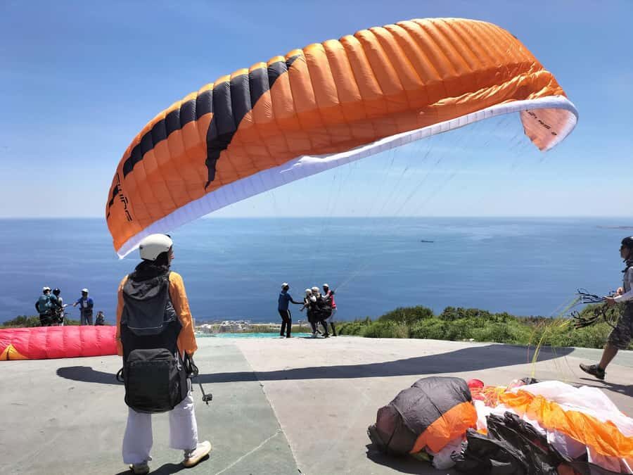 Private Tour:Cape Peninsula &Penguin Beach, Cape Point &more - The 8-hour route: what you’ll cover and why it feels efficient