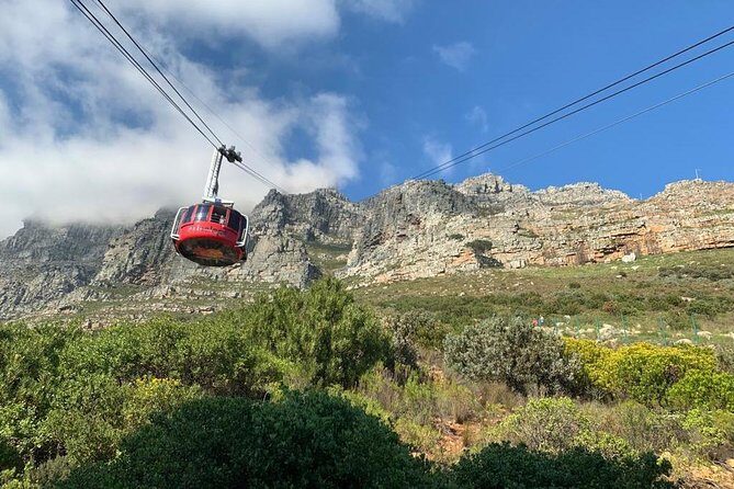 Private Tours in Cape Town - Private Cape Town at Your Pace (Not a One-Size Bus Day)