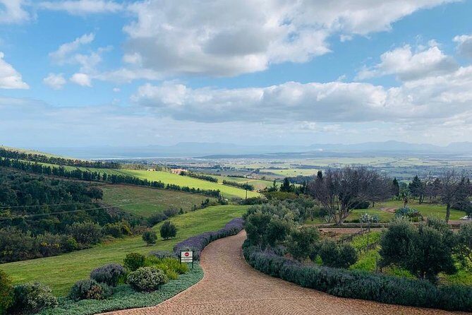 Private Tours in Cape Town - Who This Tour Fits Best (and Who Might Want Something Else)