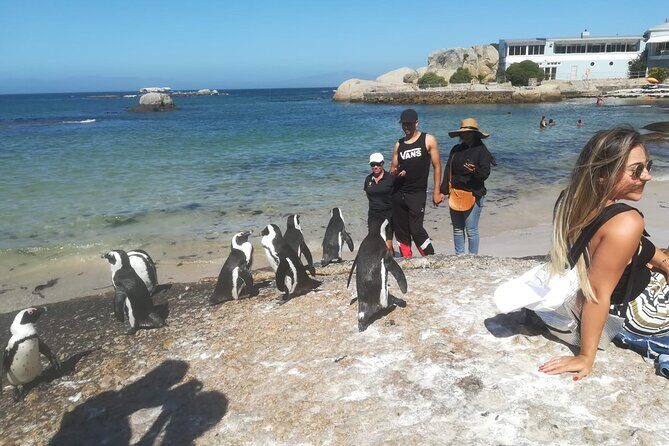 Private Tour:,Table Mountain ,Cape of Good hope & Penguins colony - Table Mountain Aerial Cableway: The View That Reframes Everything
