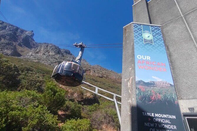 Private Tour:,Table Mountain ,Cape of Good hope & Penguins colony - Boulders Beach Penguin Colony: The Closest Encounter Part
