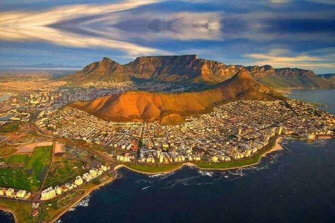 Private Transfer: CPT Airport to Cape Town in Luxury Van - Inside the Luxury Van: Comfort Meets a Clear Safety Setup