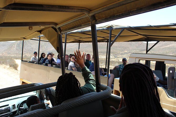 Private Transfer to Safari Big 5 at Aquila from Cape Town Excluding Entry Fees - Safari time: how to think about Big Five spotting