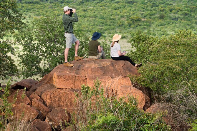 Private Ultimate Pilanesberg Safari from Johannesburg - Key Highlights You’ll Feel Immediately