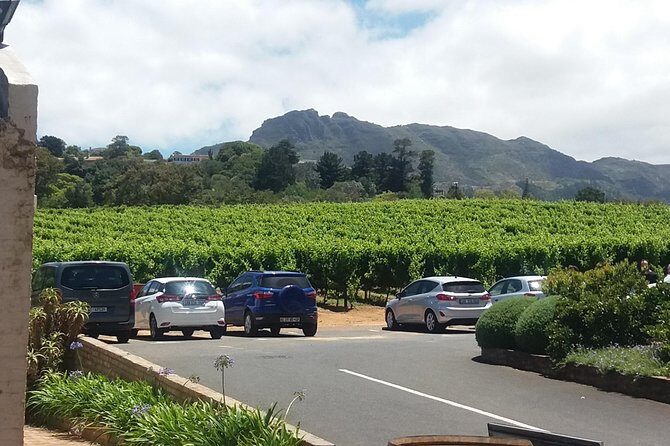 Private Visit to the Wineries Stellenbosch Franschoek from Cape Town Full Day - How this Stellenbosch and Franschhoek loop feels like two trips in one