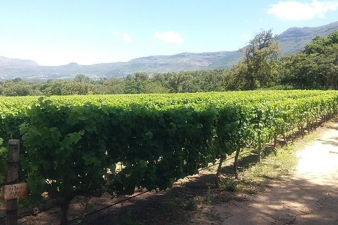 Private Visit to the Wineries Stellenbosch Franschoek from Cape Town Full Day - Groot Drakenstein Prison: a short visit that lands with weight