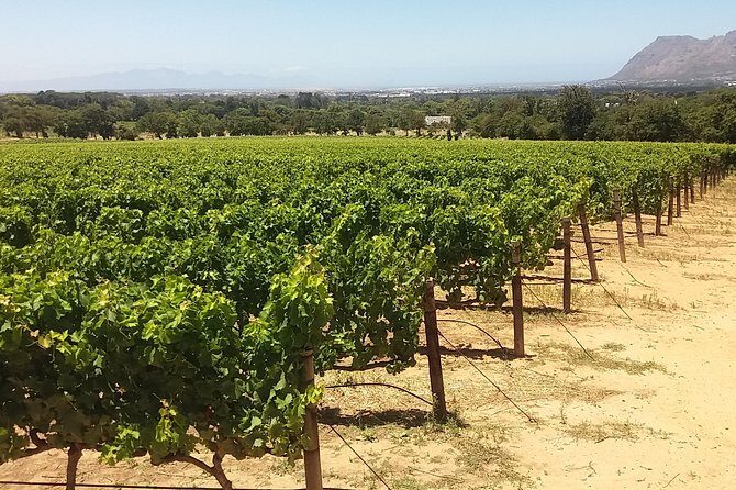 Private Visit to the Wineries Stellenbosch Franschoek from Cape Town Full Day - Fairview Wine and Cheese: tastings plus pairing lessons that you can use later