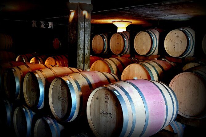 Private Wine Tasting Tour in Constantia, Cape Town - A welcome lunch in a gorgeous setting: what to expect and how to plan