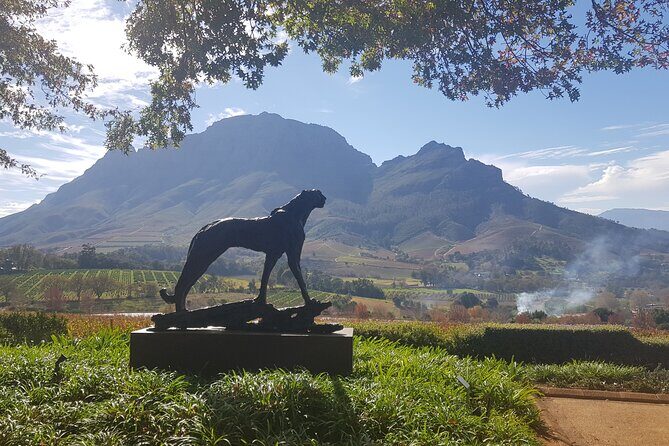 Private Wine Tasting Tour in Constantia, Cape Town - Comfort, timing, and that satisfying end-of-day feeling