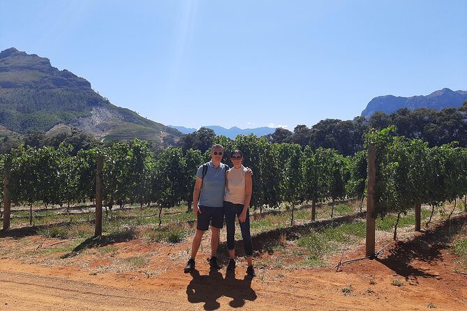 Private Wine Tour of Stellenbosch, Franschhoek and Paarl - How the Day Runs: A 9:30 Start With a Classic Route