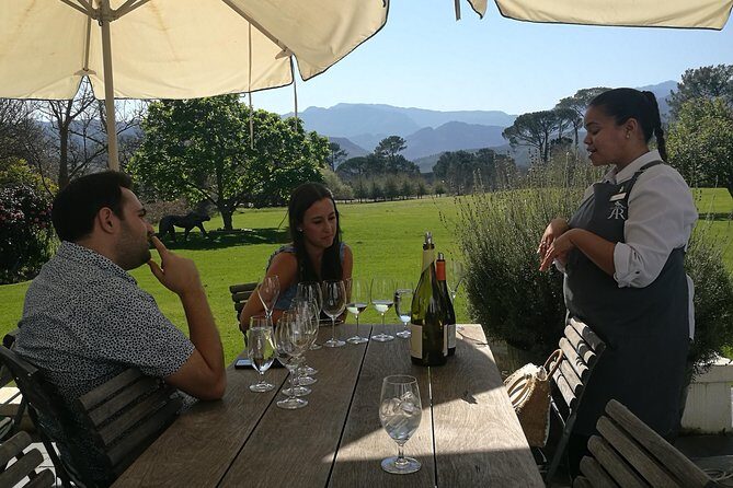 Private Wine Tour of Stellenbosch, Franschhoek and Paarl - Stellenbosch Stop: Wine-Centered Energy and Room to Taste
