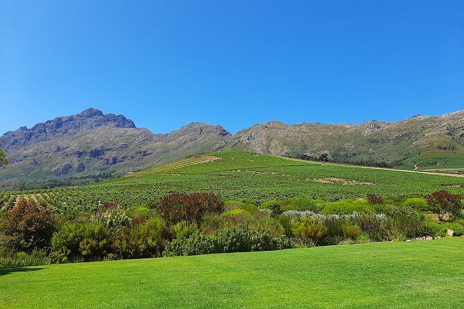 Private Wine Tour of Stellenbosch, Franschhoek and Paarl - The Guide Factor: How Tim and Colin’s Style Shows Up in Real Days