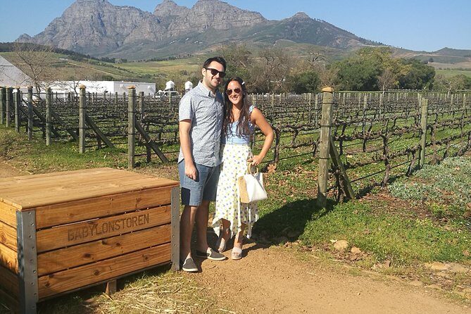 Private Wine Tour of Stellenbosch, Franschhoek and Paarl - Price and Value: What $148.10 Really Buys You