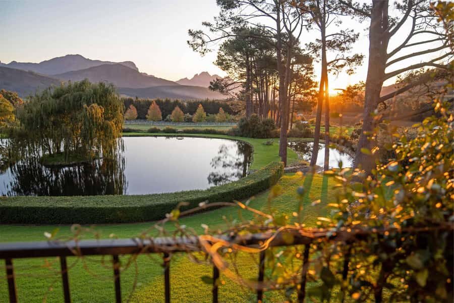 Private Winelands Immersive Experience Full Day - A tight, private route through three top Winelands towns