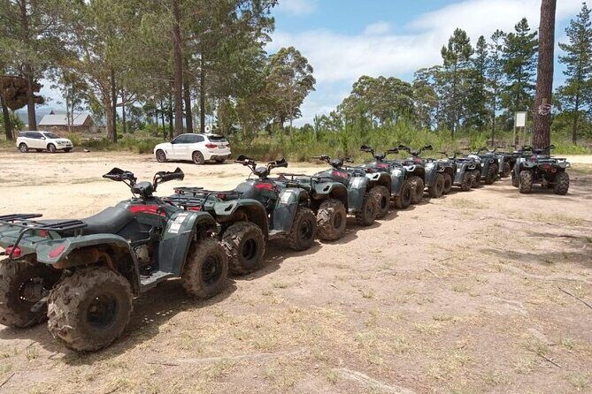 Quad Bike Fun Ride in The Crags, Plettenberg Bay - Riding with guides like Babson and Babi (and why it matters)