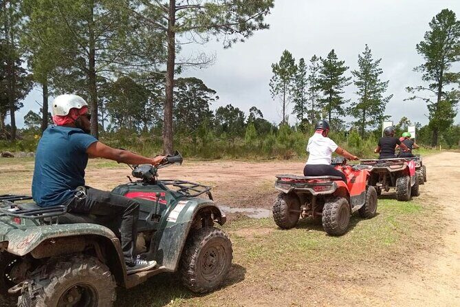 Quad Bike Fun Ride in The Crags, Plettenberg Bay - The 45-minute technical bush ride: trees, bushes, and challenge