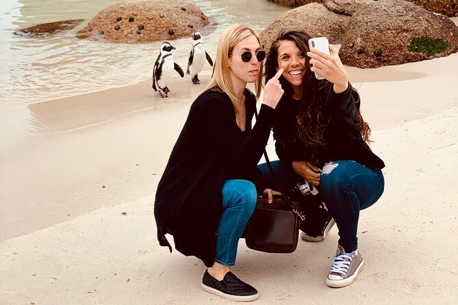 Revel in the Cape Peninsula (Penguins & Cape of Good Hope) - Who This Tour Fits Best (and Who Might Want Something Else)