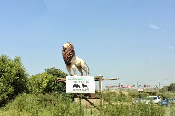 Rhino and Lion Park Safari Tour - Krugersdorp safari: the Big Five promise with a practical time limit