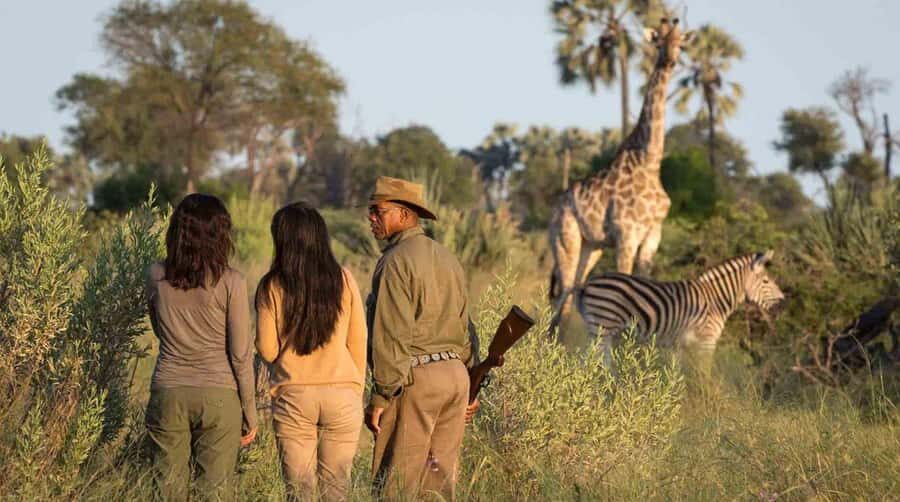 Richards Bay: Hluhluwe Imfolozi Game Reserve Half-Day Tour - What the Game Drive Feels Like: Ranger Guidance That Turns Sightings Into Learning