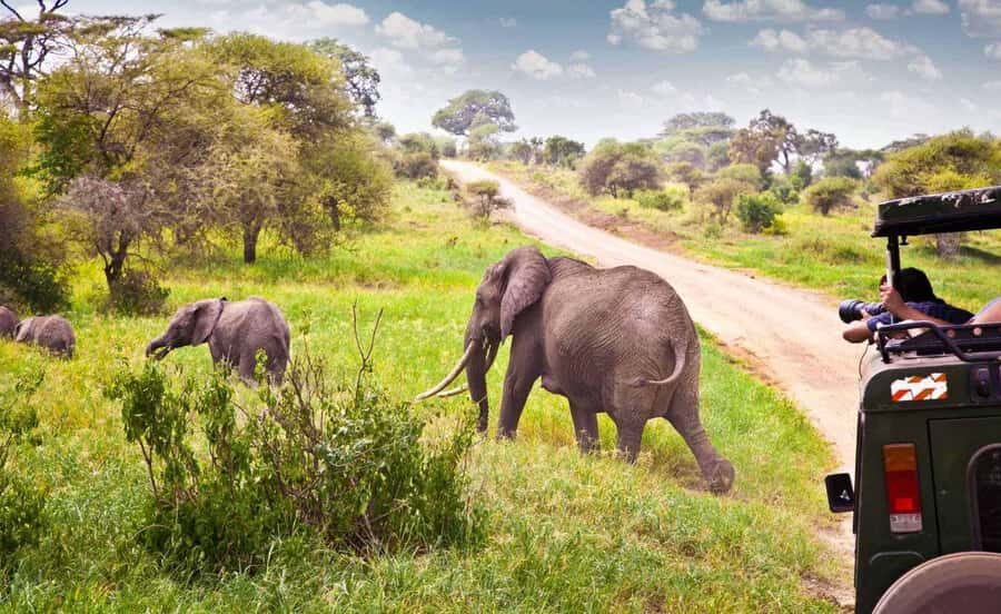 Richards Bay: Hluhluwe Imfolozi Game Reserve Half-Day Tour - Logistics in the Real World: Pickup, Vehicle Comfort, and Communication