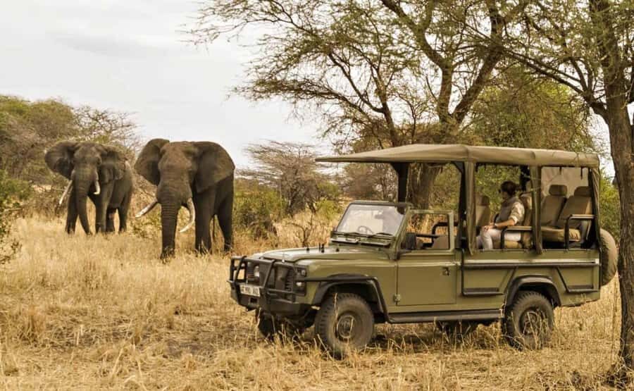 Richards Bay: Hluhluwe Imfolozi Game Reserve Half-Day Tour - Timing Matters: The 7:30 AM Departure That Can Make or Break Sightings