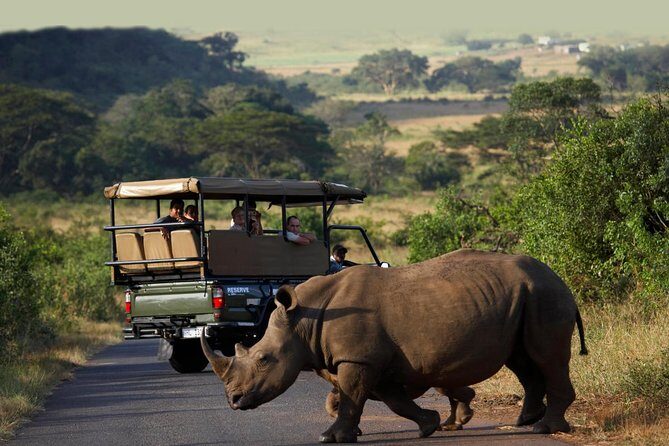 Richards Bay Shore Excursion: Private Small Group Hluhluwe Safari - Key highlights worth your attention