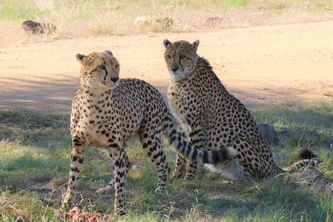 Roar through the bush Quadbike Safari Adventure near Johannesburg - What to bring for a comfortable quadbike plus safari morning