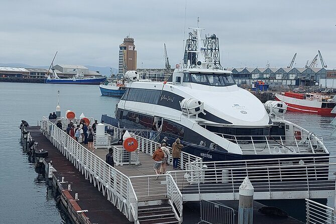 Robben Island and Table Mountain Cableway with Bo-Kaap Day Tour - Table Mountain Cableway: the views you came for