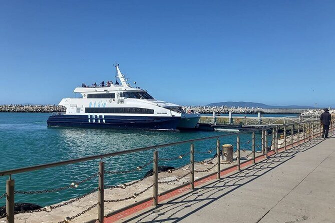 Robben Island and Table Mountain Full Day Private Tour - Table Mountain National Park: from cable car to viewpoints with a guide