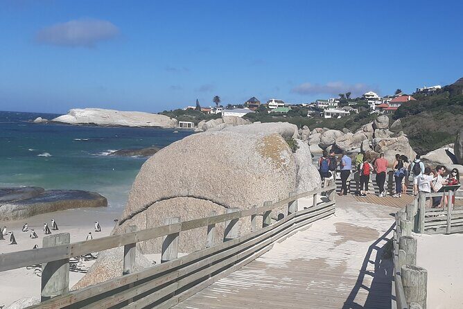 Robben Island and Table Mountain Guided tour - A one-day combo that saves you planning time
