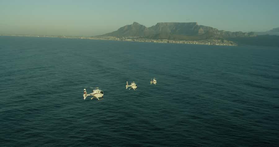Robben Island By Air Scenic Helicopter Flight - Key Points You’ll Care About