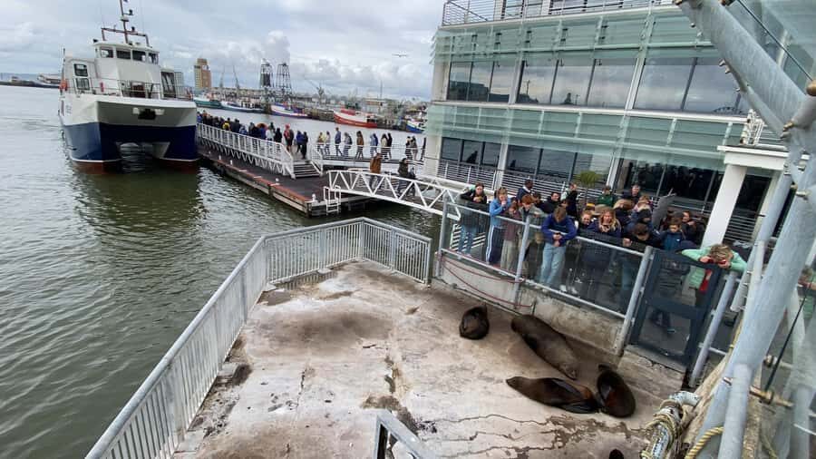 Robben Island Half Day Tour with Pre-Booked Ticket - Robben Island in four hours: how this half-day plan works