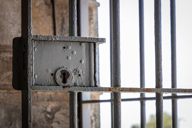 Robben Island Half Day Tour with Pre-Booked Ticket(s) - What the group size means for your experience