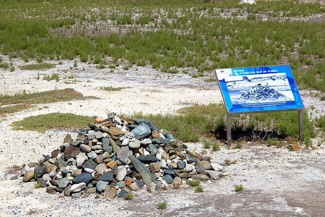 Robben Island Half Day Tour with Pre-Booked Ticket(s) - Is the $69.26 price good value for Robben Island?