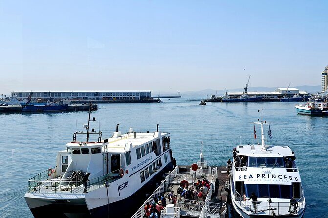 Robben Island heritage site with a half day tour - Weather and comfort: bring the basics so the day stays readable