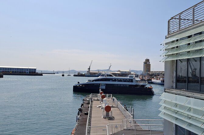 Robben Island heritage site with a half day tour - Who this half-day Robben Island tour is best for