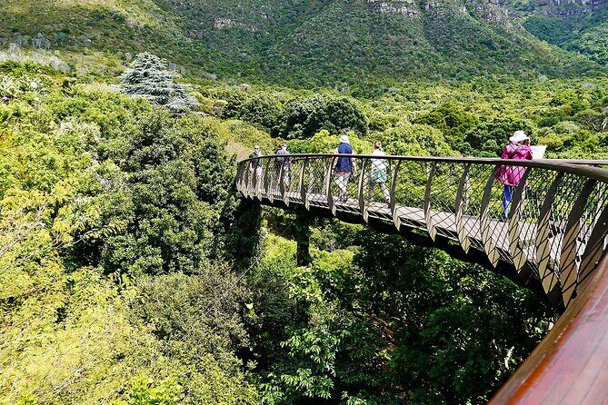 Robben Island, Kirstenbosch wine tasting Tour - Kirstenbosch National Botanical Garden: a calmer reset between history and wine