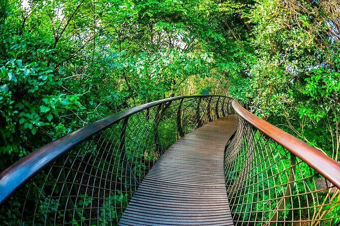 Robben Island, Kirstenbosch wine tasting Tour - Price and logistics: is $132.97 good value for this combo day?
