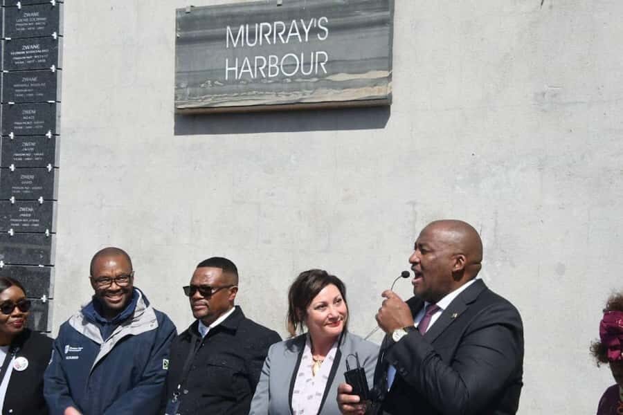Robben Island Museum and Cape Town City Tour - Company’s Garden, South African Museum, and District Six: Cape Town’s layered past
