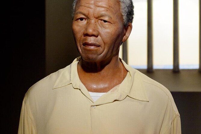 Robben Island Museum Half-Day Tour. Including all tickets. - Who this tour fits best (and who should rethink it)