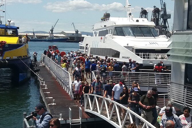 Robben Island Museum, Stellenbosch Wineries plus Ferry Tickets - Timing and Getting Around: What an 8-Hour Day Feels Like