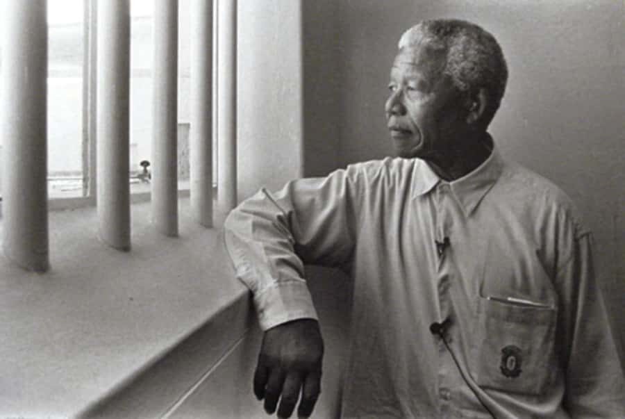 ROBBEN ISLAND MUSEUM TOUR, WITH OPTIONAL LAST MINUTE TICKETS - Key Things You’ll Care About