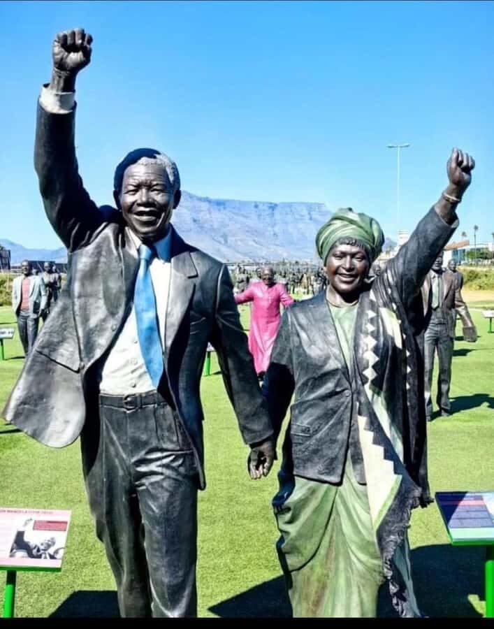 Robben Island Museum Tour with Transfer and Ferry Tickets. - What the 5-hour schedule really means for your day