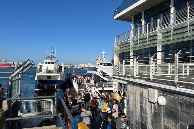 Robben Island Pre-Booked Tickets & Hassle-Free Experience - The Robben Island museum tour: Mandela’s cell and the walk to freedom