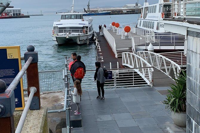 Robben Island & Surprise stops tickets confirm by 8am next day. - Why This Robben Island Day Trip Feels Low-Stress