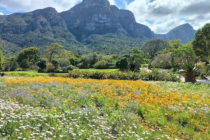 Robben Island, Table Mountain and kirstenbosch from Cape Town - Table Mountain by Cable Car: The View Depends on Planning