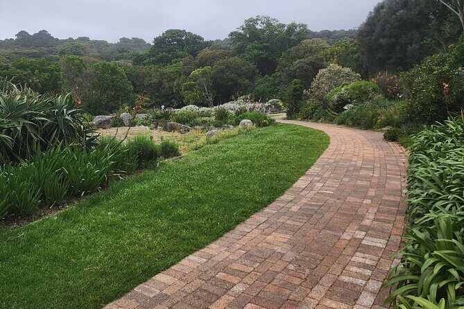 Robben Island Table Mountain and Kirstenbosch Sharing group tour - Kirstenbosch National Botanical Garden: Cape Floral Kingdom time